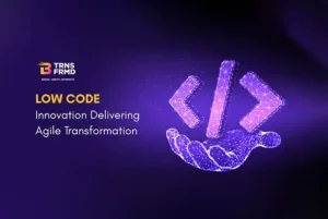 Why you need an SI Partner for Low-Code CX?